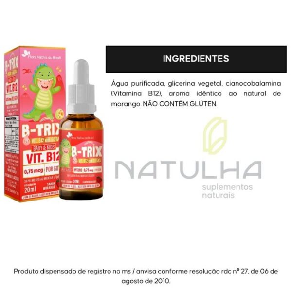 B-TRIX (Vitamina B12 Infantil) 20ml - Flora Nativa - Imagem 2